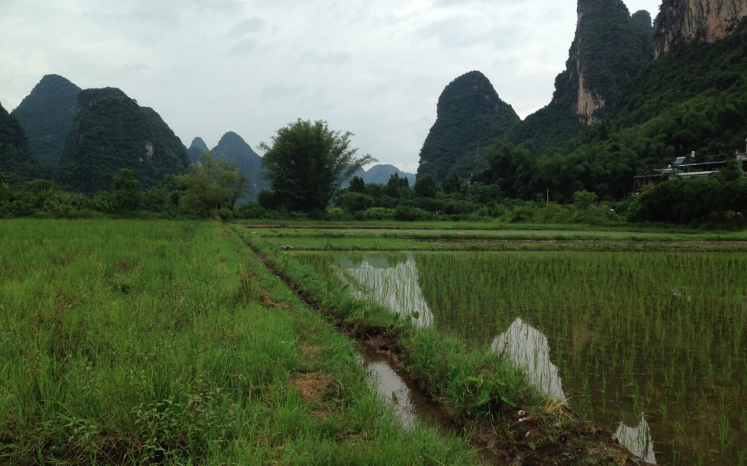 Yansghuo & Guilin, July 2016