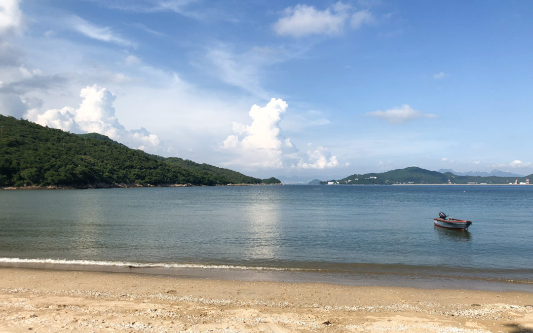 Beach Clean-Up, Shap Long Beach